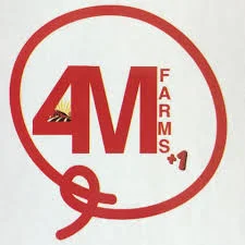 4m logo